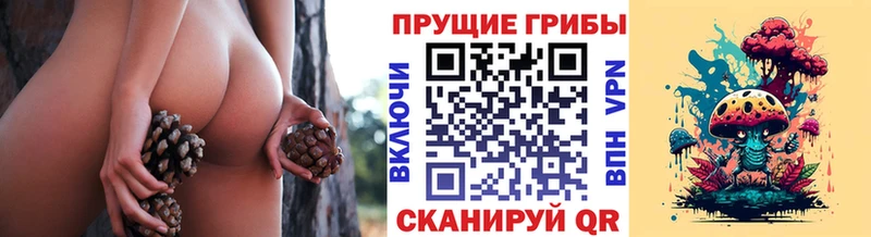 Галлюциногенные грибы мухоморы  МЕГА сайт  Валдай 